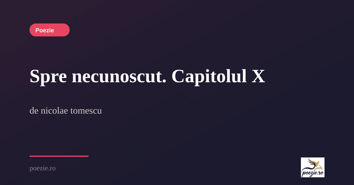 Prose Section Example Spre necunoscut. Capitolul X - nicolae tomescu | Poezie.ro