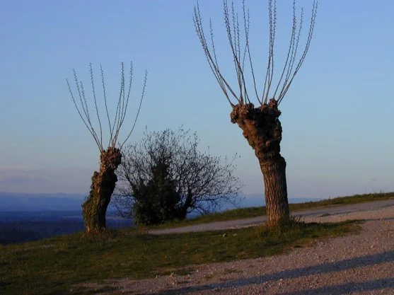 Thème d\'écriture :