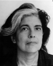 Homenaje a Susan Sontag