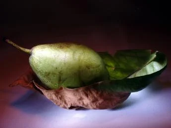 Joi 31 Martie ora 19:00 - Concert Dani Făt și pregătirea de 1 aprilie