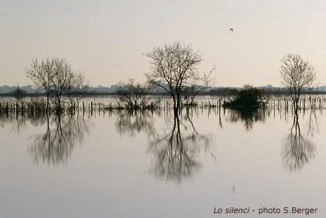 Las paraulas del vent : Exposition photo / poésie