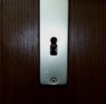 Wer war „Voicu“?