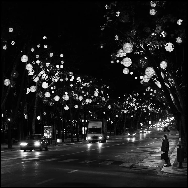 se tu incontrassi il vento ti direbbe che......