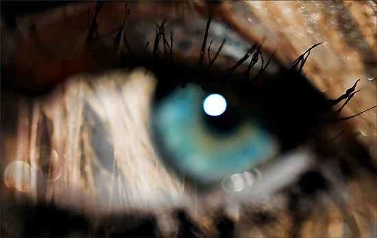 l\'ego osa dove ragione è inetta