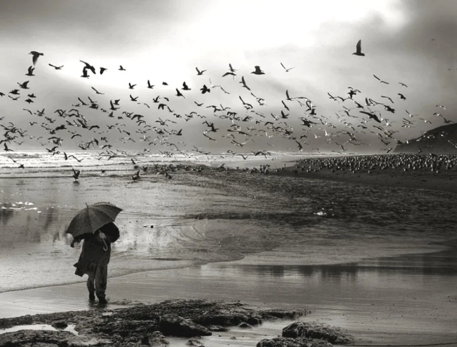 cerco lo stormo con volo diretto per un paese caldo