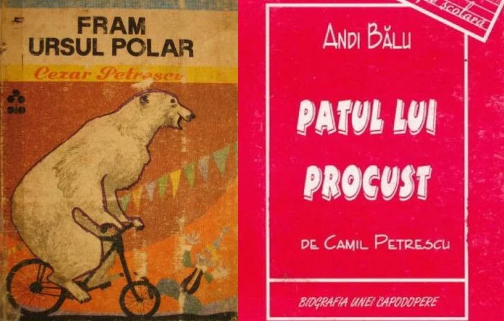 Categoric, ursul are mult bun simț în fața omului!