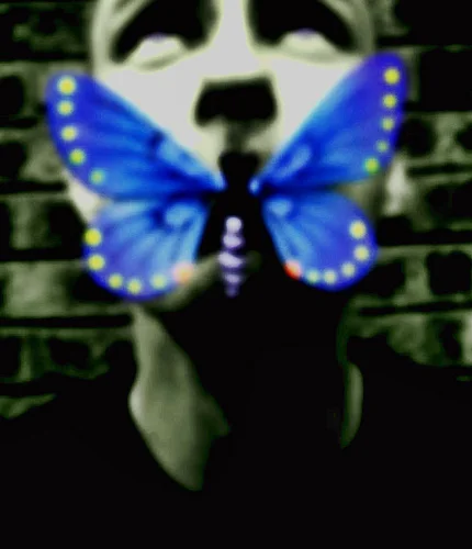 il posto della felicità