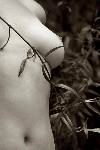 la velocità del male mira sempre dentro