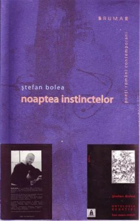 Anti-poezia lui Ștefan Bolea