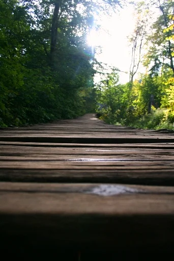  Agoniaサイトへようこそ