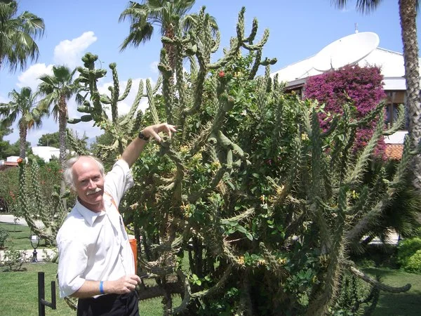 Хочу проснуться в лето