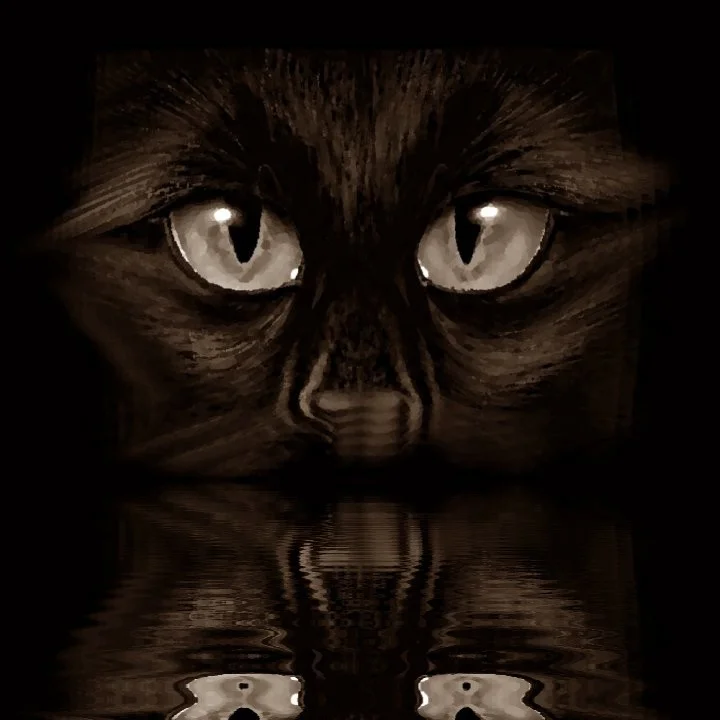 Il était une fois ...