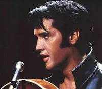 July Days of Roses - Marshall comeback special