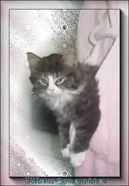 Lili-Marguerite, prise 2