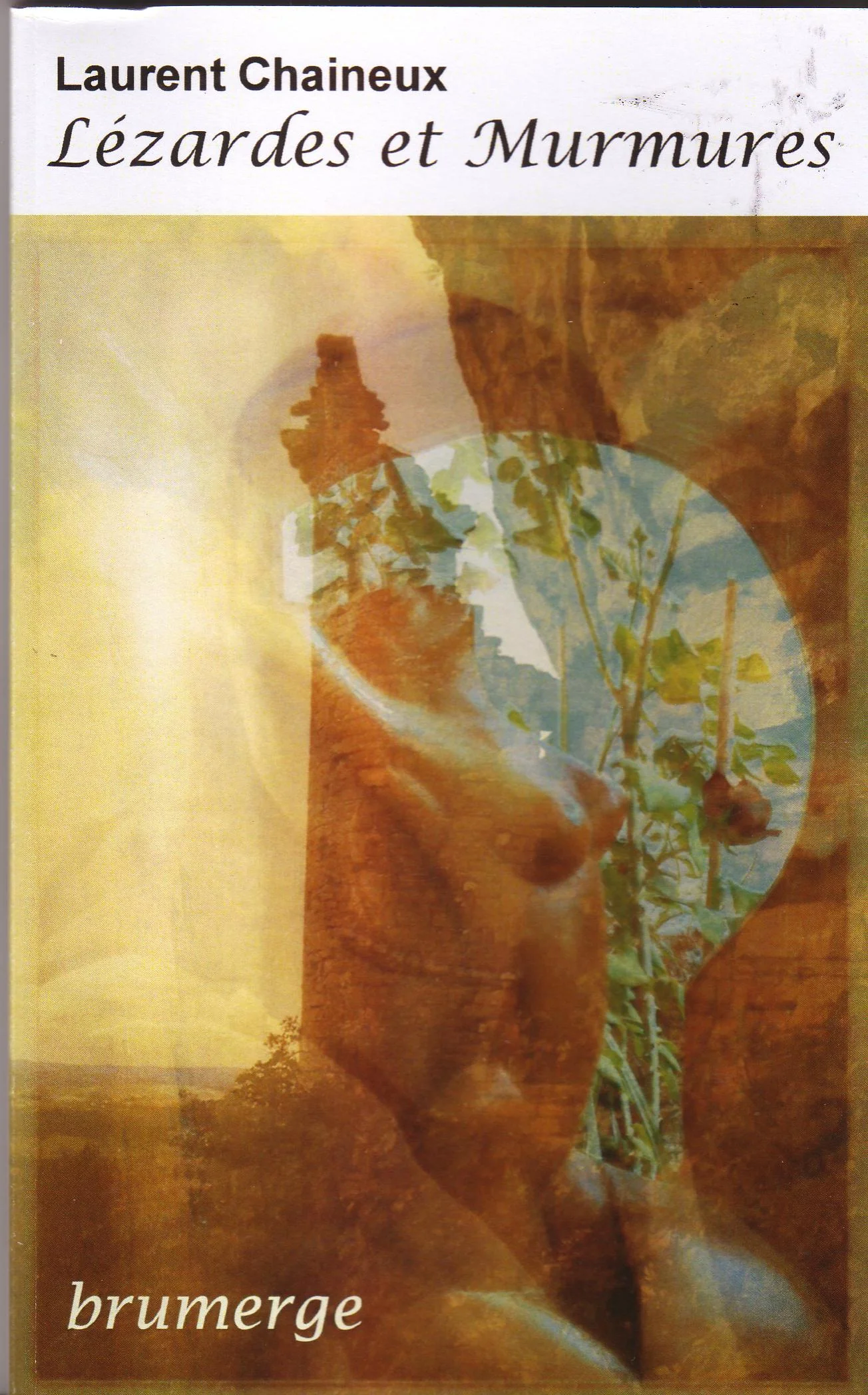 Lézardes et Murmures