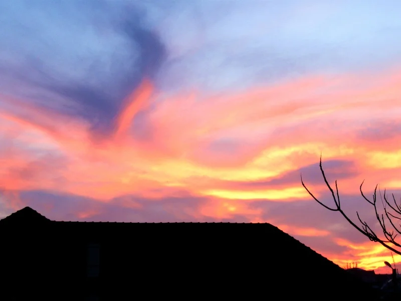           Le Concours International „ Les cheveux de Berenice\"