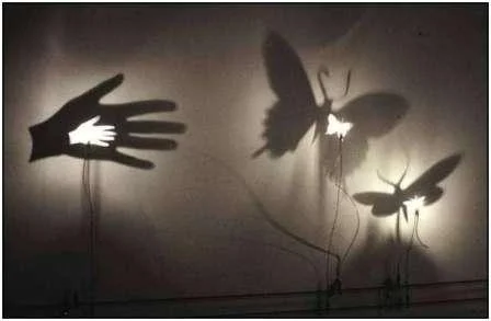 Submissions of essays on poetry required