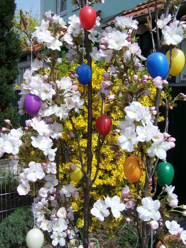 Frohe Ostern 2011