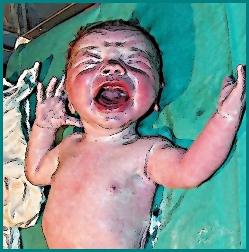 Chemins de cris, chemins de craies