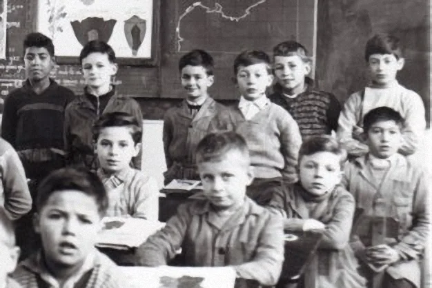 Le scarabée rhinocéros 