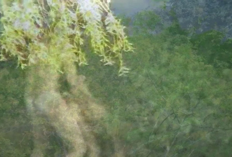 Veilleurs de Dhuis (fragment)