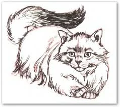 CUM S-FEAÞI CÃTUȘA