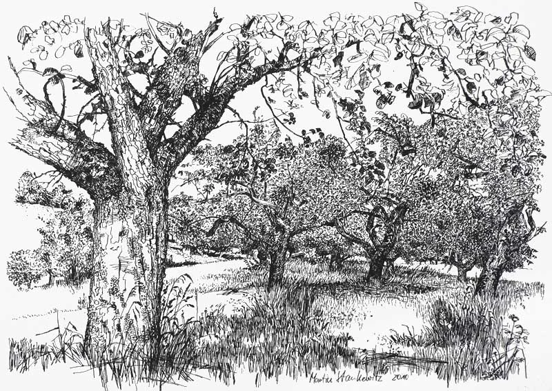 Vulturii Pindului cap. II