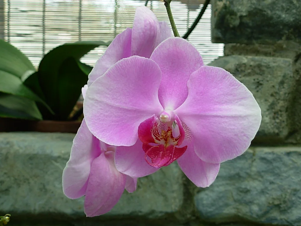 Qu'est-ce que la durée d'une vie ?