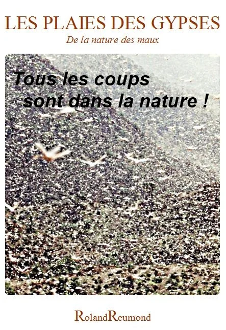 Les plaies des gypses