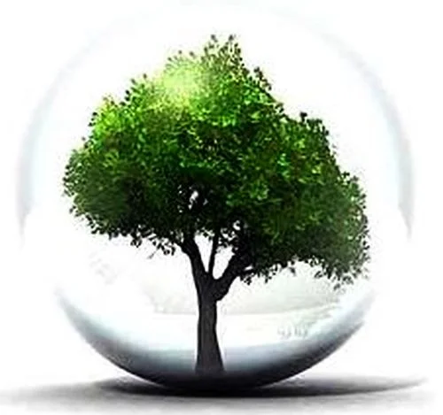 Plaidoyer contre les limites de l’entendement humain