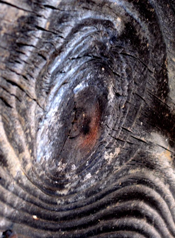 Zilele de poezie ,,Constantin Virgil Bănescu”,