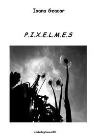 Plongeon dans l 'oeil quotidien                                   et direct de la poésie          