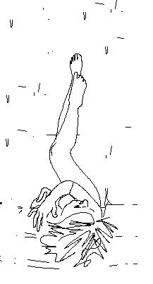 păsări frumoase 12