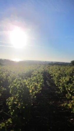 Je me suis construite sur une colonne infinie