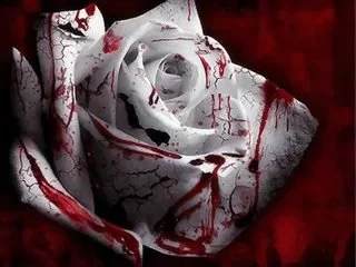 4th of April 4th, 1984..