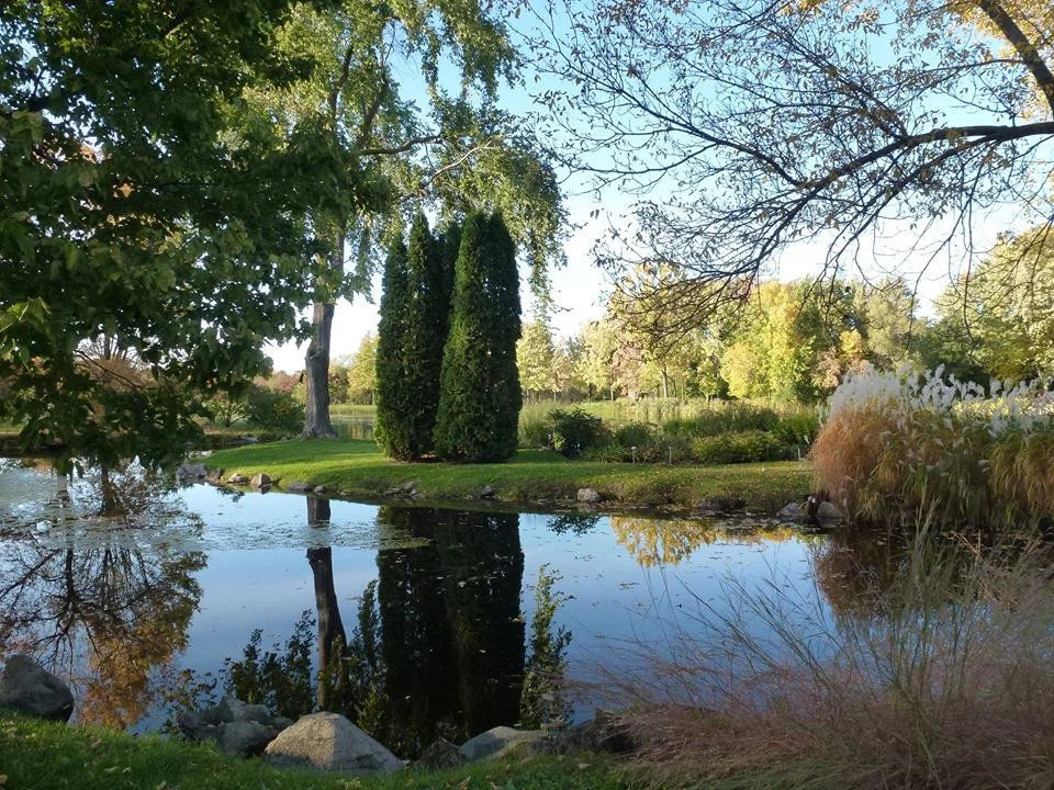 Voir et s’émouvoir 