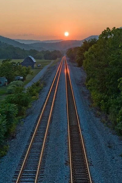 meditație în umbra unei dimineți 