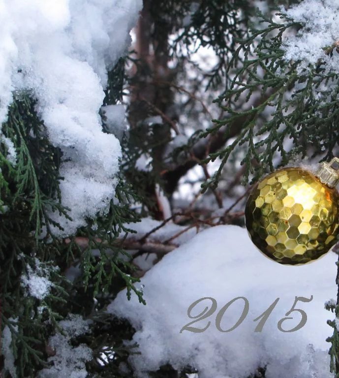 Felice Anno Nuovo, 2015!