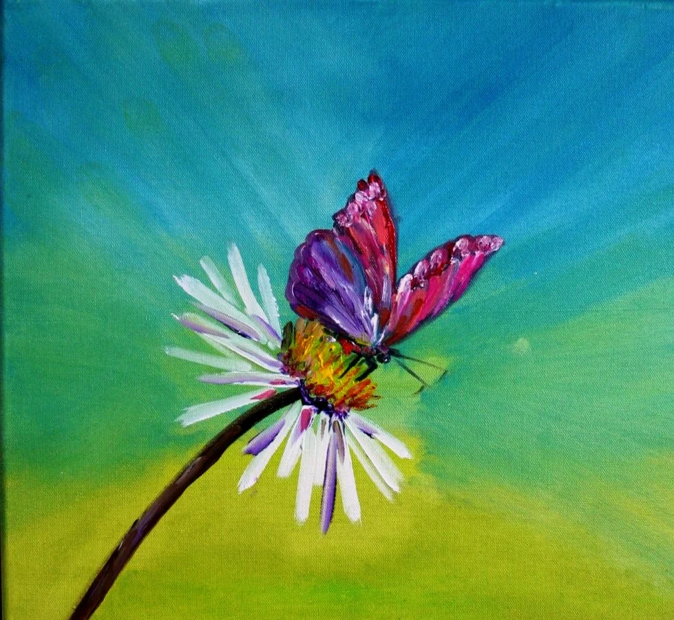 Papillon et marguerite