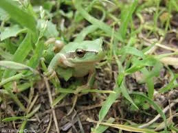 L’existence de la réalité extérieure