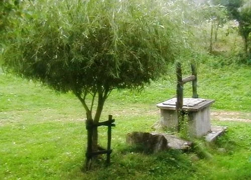 despre stele și alte culori