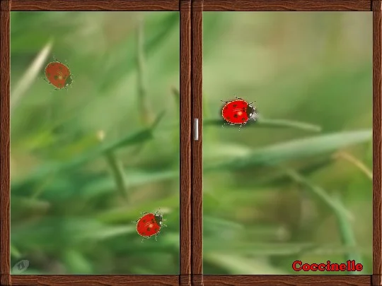La coccinelle et la fillette