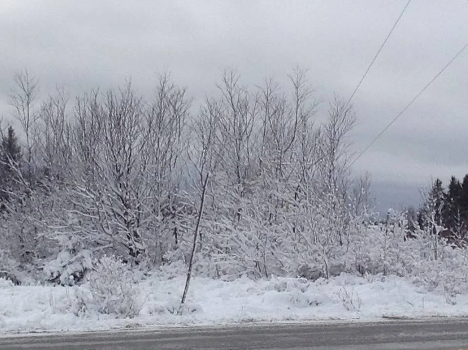 Tout est blanc ce matin