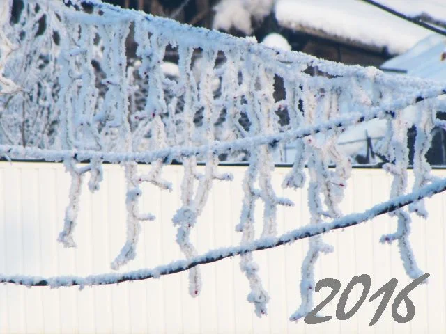 Happy New Year, 2016!