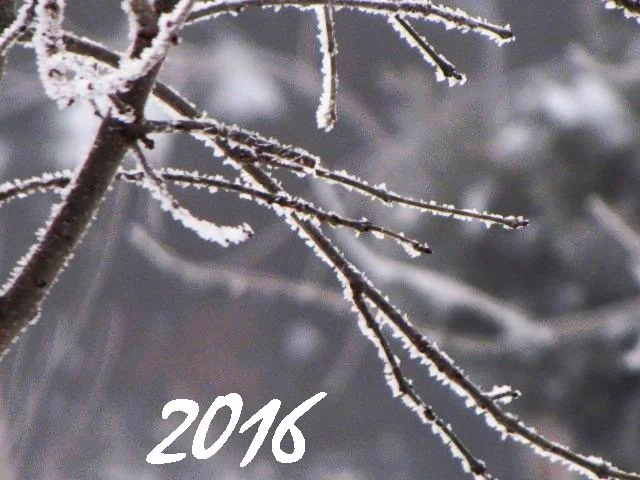 Felice Anno Nuovo, 2016!