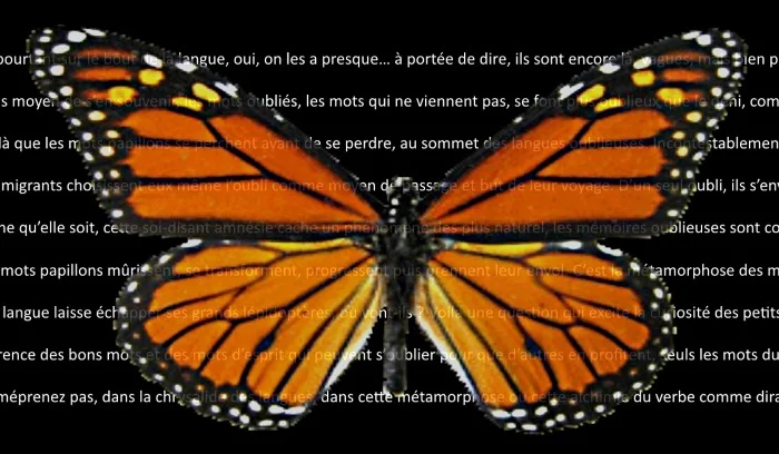 Les mots papillons