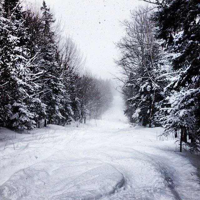 Hiver, blancheur et pureté
