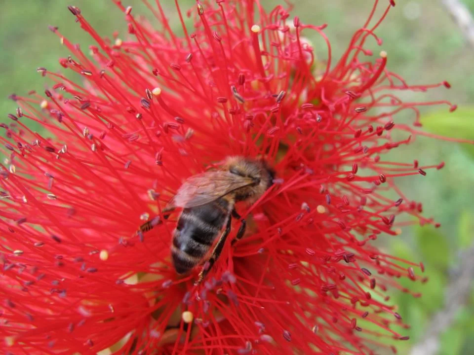 Dialogue sur l'ivresse