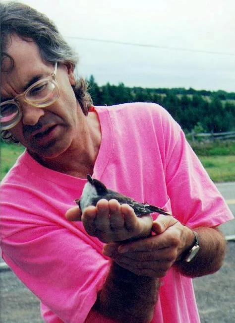 Le poète et l’oiseau  