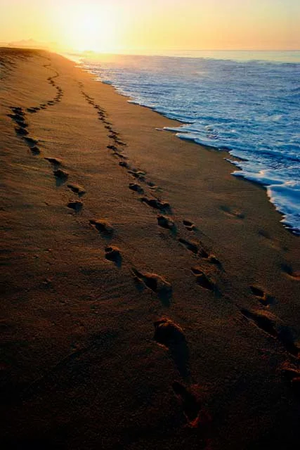 Nos pas sur la grève